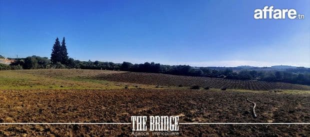 Terrain Agricole de nu 13 977 m² à Bou Argoub