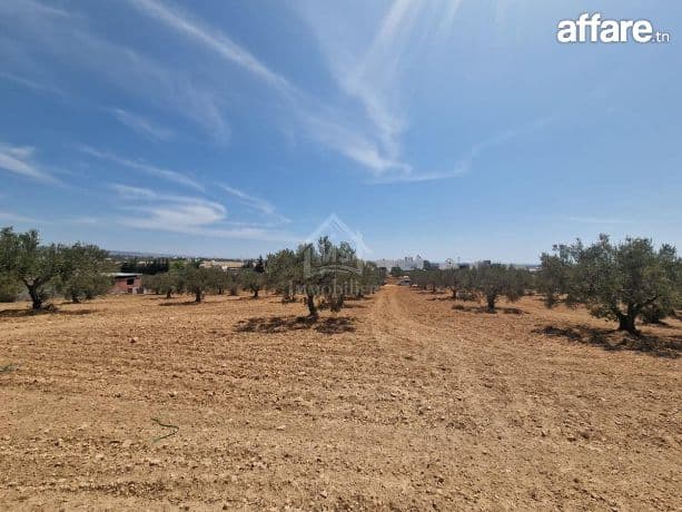 Terrain de 4018 m² à vendre à 200 dt/m² à Hammamet Sud