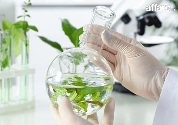 Recherche partenaire local en Tunisie 