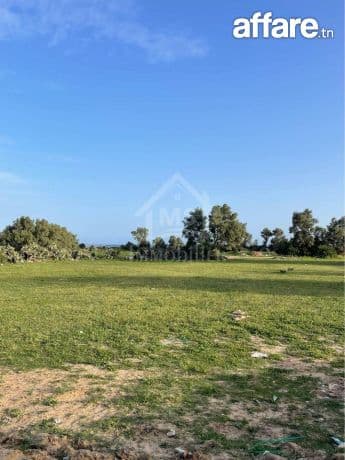 2 lots de terrain vue de mer à vendre à Jinen Béni Khiar