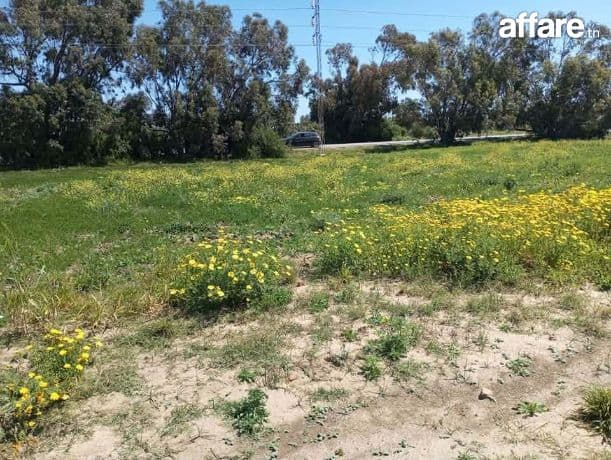 Des Terrains a vendre hawaria