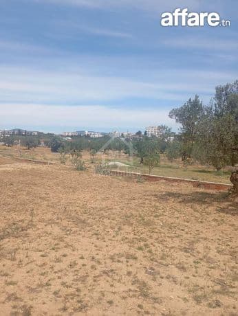 Terrain de 2000 m² à Hammamet Sud à vendre 51355351