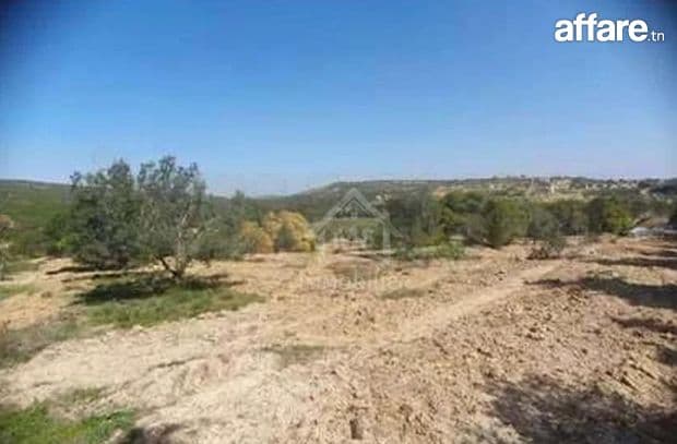 Terrain de 1316 m² à vendre à 70 MD à Hammamet Sud 51355351