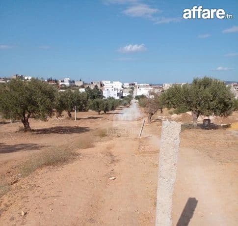 Terrain de 400 m² avec vue de mer à Hammamet Sud à vendre