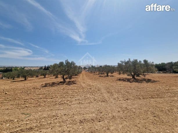 Terrain de 4018 m² à vendre à 200 dt/m² à Hammamet Sud
