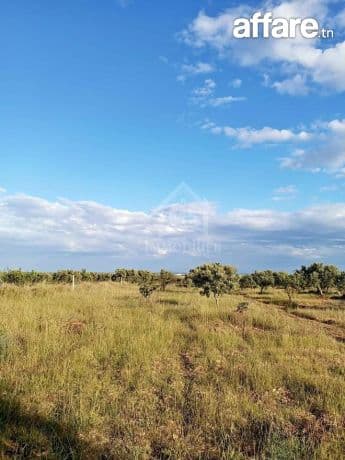 Terrain de 2700 m² à Hammamet Sud à vendre 51355351
