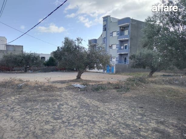 Lots Des Terrains Constructibles En Vente | Chott Mariem