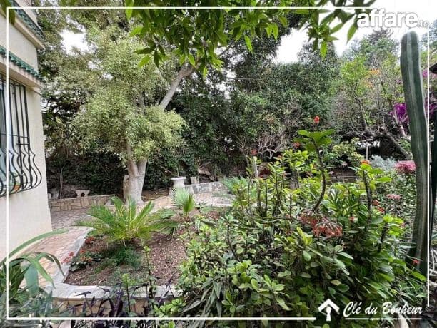 à vendre à france ville 