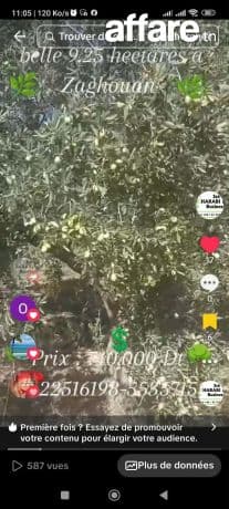  Magnifique ferme 9 hectares 2500m2