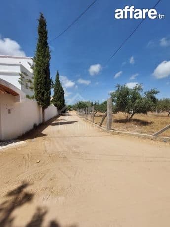 Terrain viabilisé de 600 m² à vendre à Hammamet 51355351