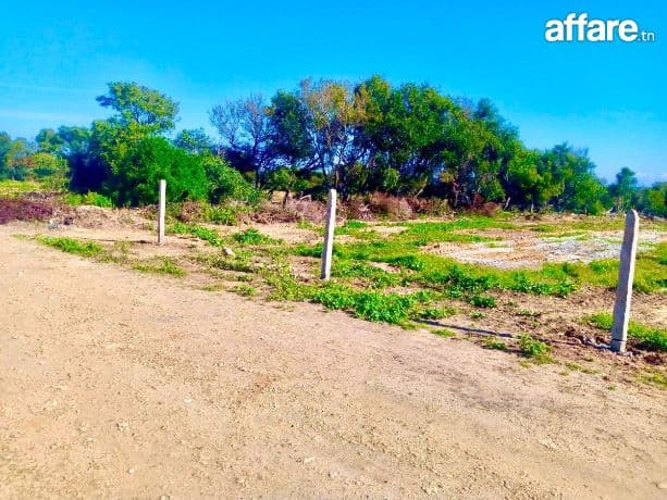 Opportunité exceptionnelle à Kerkouane