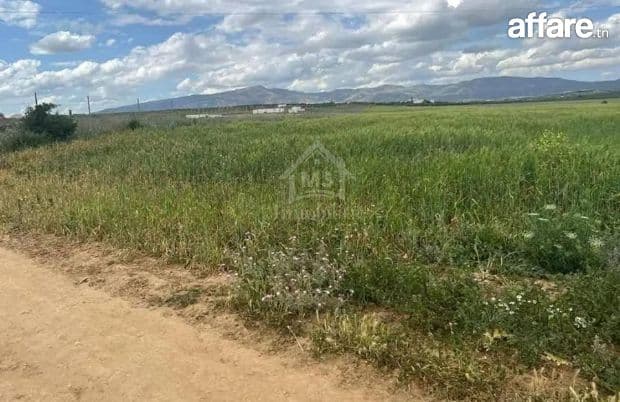 Terrain de 7500 m² à vendre à Hammamet Sud 51355351
