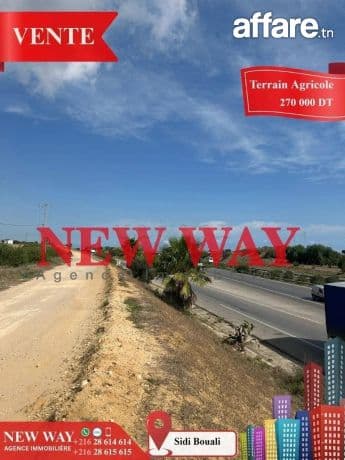 Terrain Agricole à Sidi Bouali près de l'autoroute et GP1