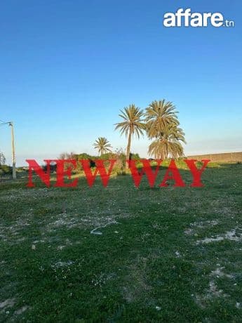 Terrain à Sidi Abdelhamid, Prés de la Mer