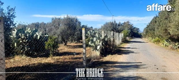 Terrain Agricole de 6 395 m² à Bou Argoub