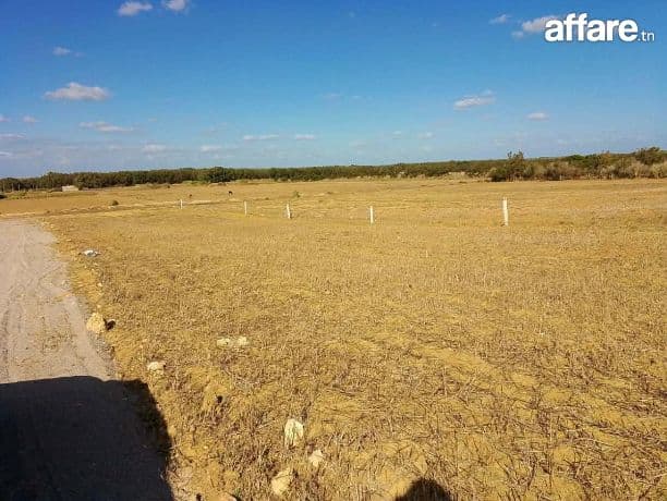Opportunité des terrains a vendre Azmour klebia