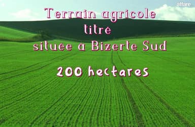 Terrain agricole titré (200) hectares