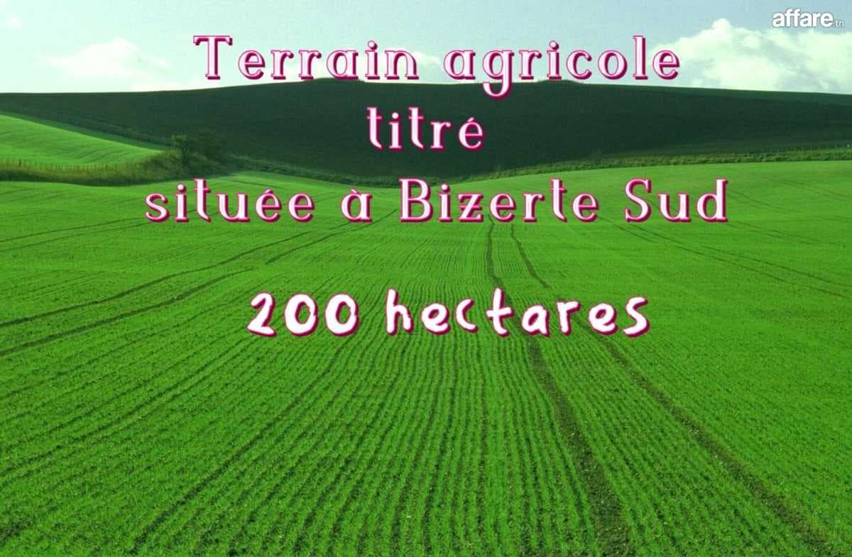 Terrain agricole titré (200) hectares