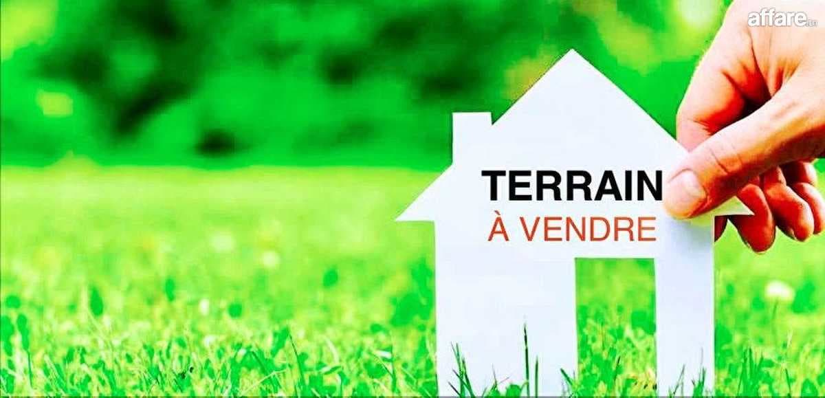 Terrain  (titre bleu) Aïn Damous, Bizerte