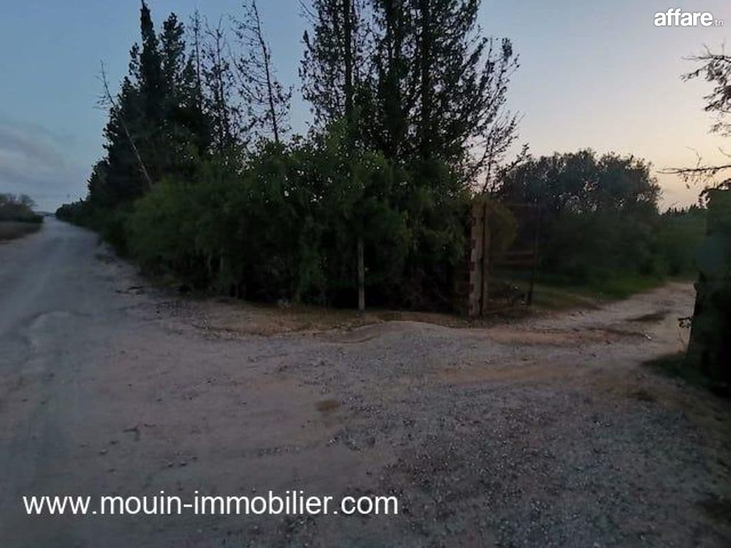 TERRAIN SIDRA 2 Borj Hfaiedh T1218