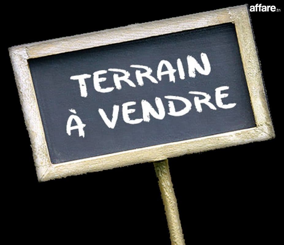 terrain a nadhour bizerte