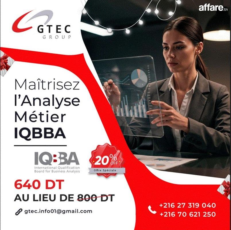 Formation Business Analyst Certification IQBBA
