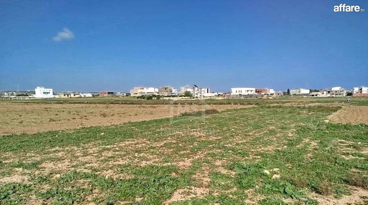 Un terrain de 669 m² à Maamoura à vendre 51355351