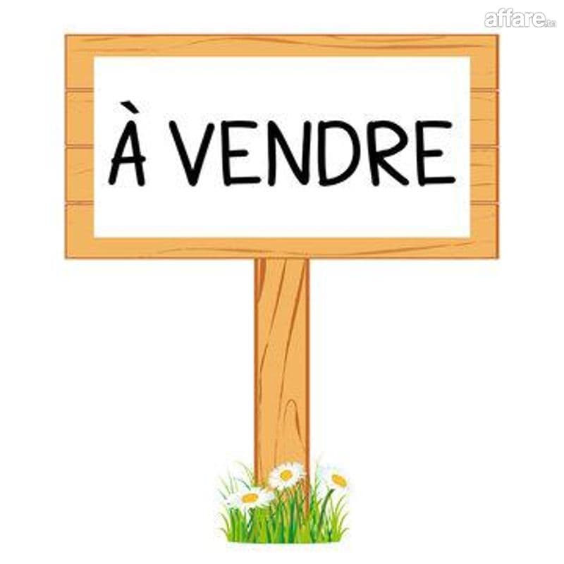 des lots de terrain