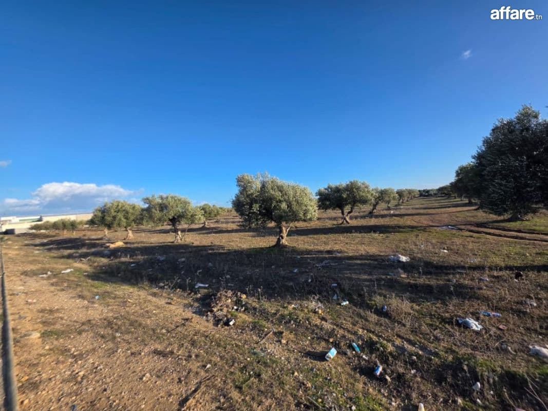 Terrain d'1 Hectare En Vente sur La Route Touristique Hergla