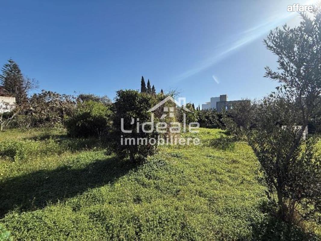 À vendre 4 lots de terrain à Hammamet Zone Craxi
