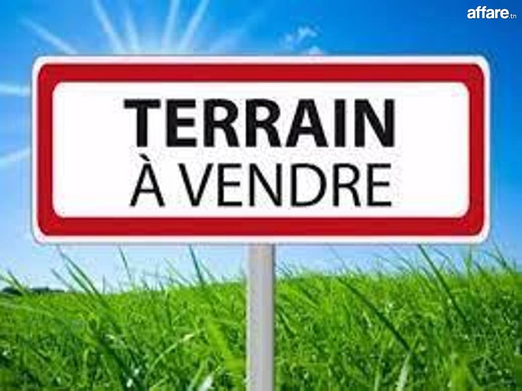 des lots de terrain