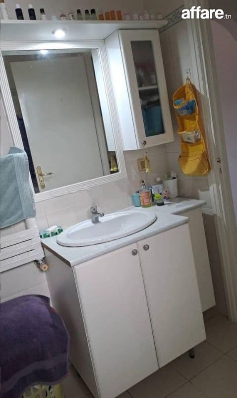 s+2 a vendre a manar 1 