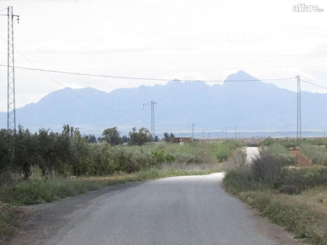 Terrain 5 Hectare Imnagaa