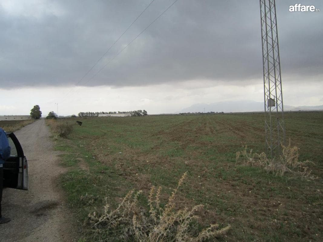 Terrain 10 Hectare Sminja