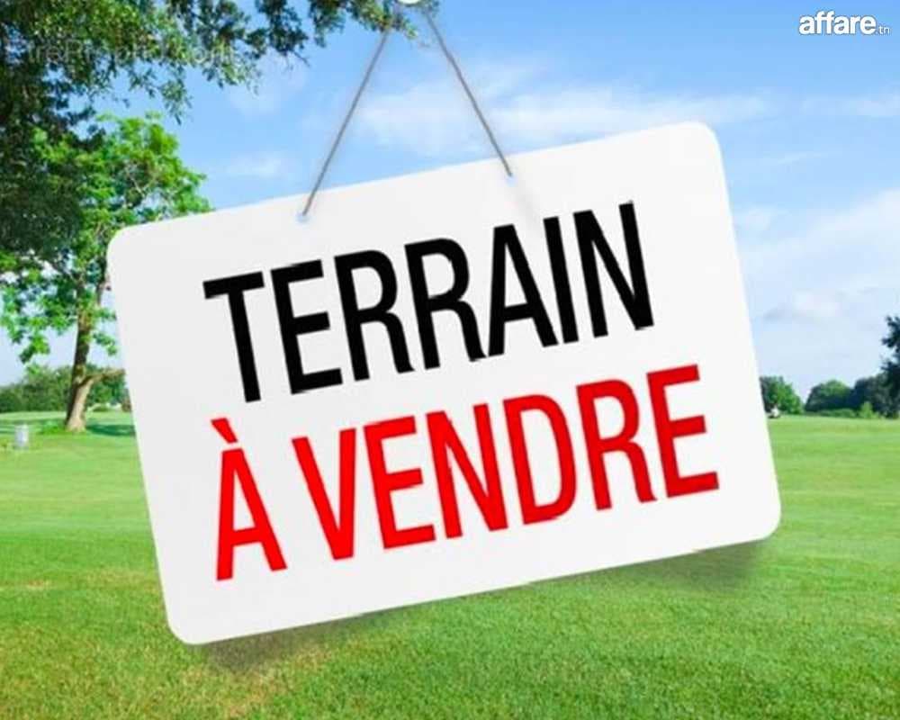 Terrain Belle vue foret et mer