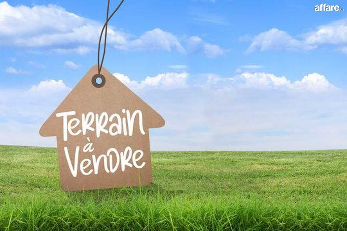 Terrain agricole titré à Sejnen bizerte