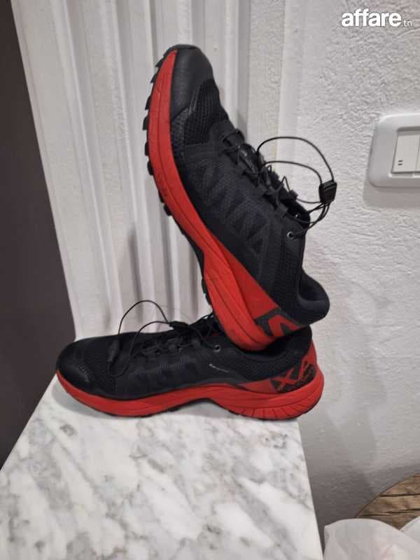 Salomon