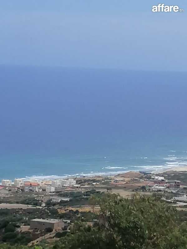 Terrain pied dans l eau kef Abed bizerte 