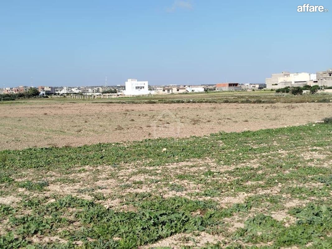 Un terrain de 669 m² à Maamoura à vendre 51355351