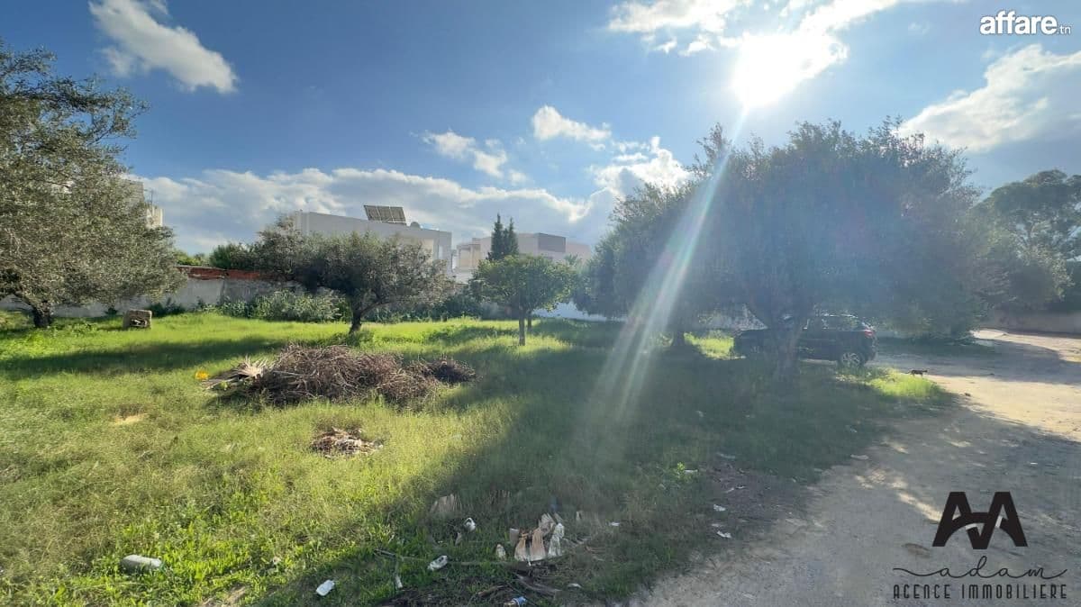 Terrain d'habitation isolé de 574m² à Sidi Mahersi