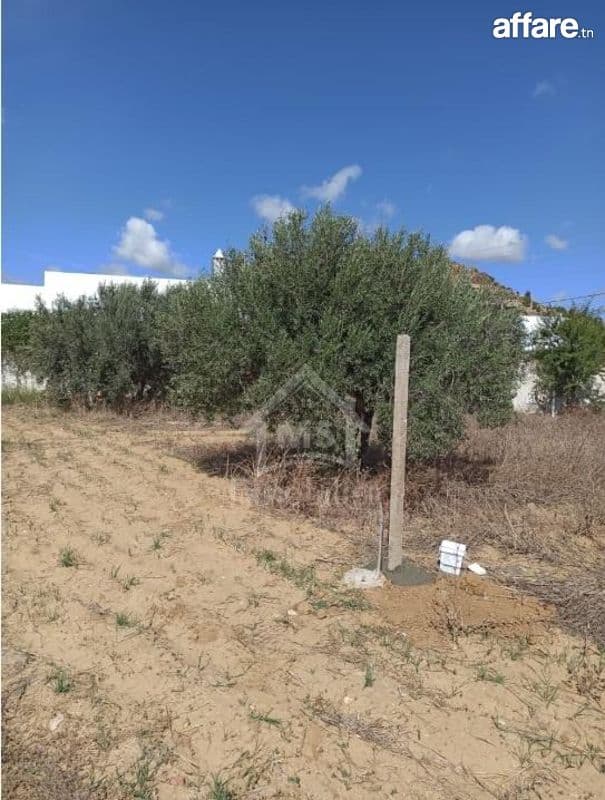Terrain de 300 m² à Hammamet Sud à vendre 51355351