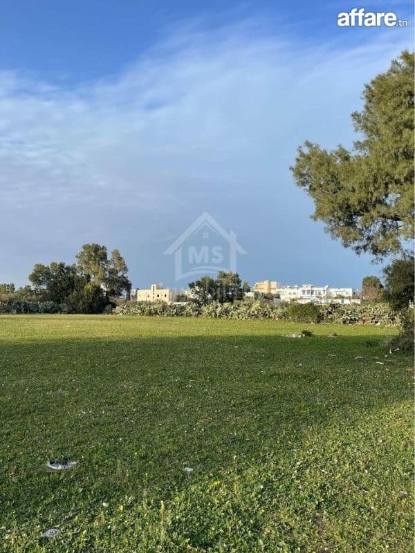2 lots de terrain vue de mer à vendre à Jinen Béni Khiar  