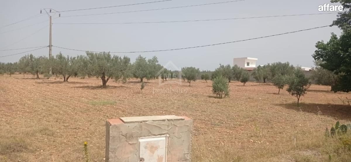 Terrain de 4800 m² à Sidi Mtir à vendre à 270 MD 51355351