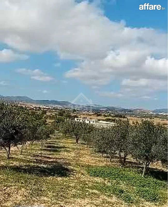 Terrain de 400 m² avec vue de mer à Hammamet Sud à vendre