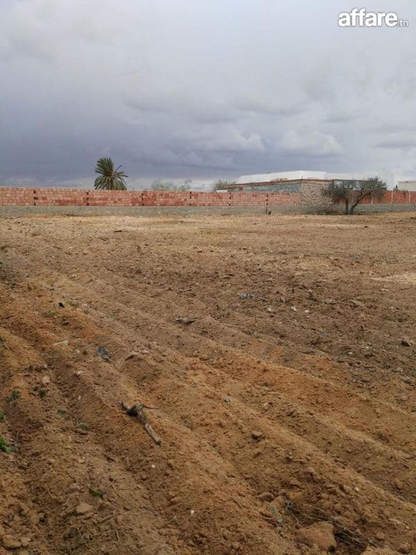 Terrain à vendre – Opportunité d’investissement (≈ 4000 m²)
