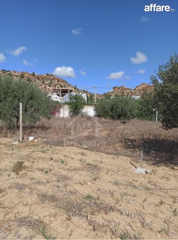 Terrain de 300 m² à Hammamet Sud à vendre 51355351