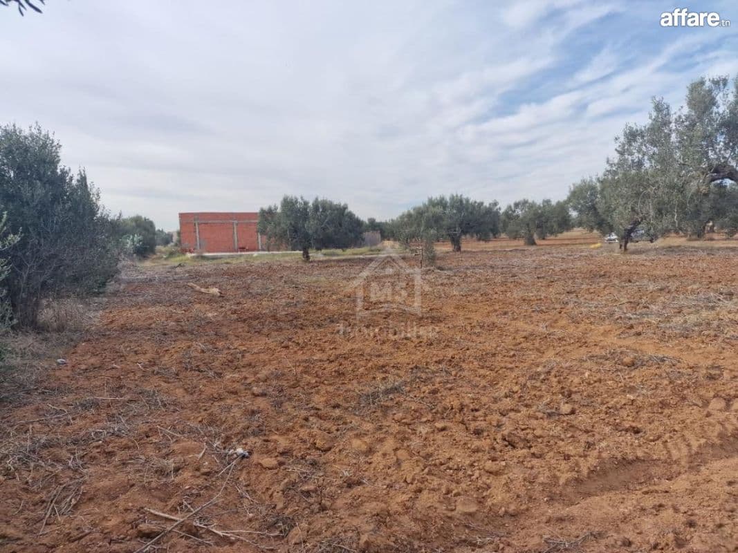Terrain de 970 m² à Hammamet Sud à vendre à 230 MD 51355351