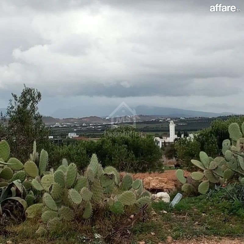 Terrain de 2700 m² à Hammamet Sud à vendre 51355351