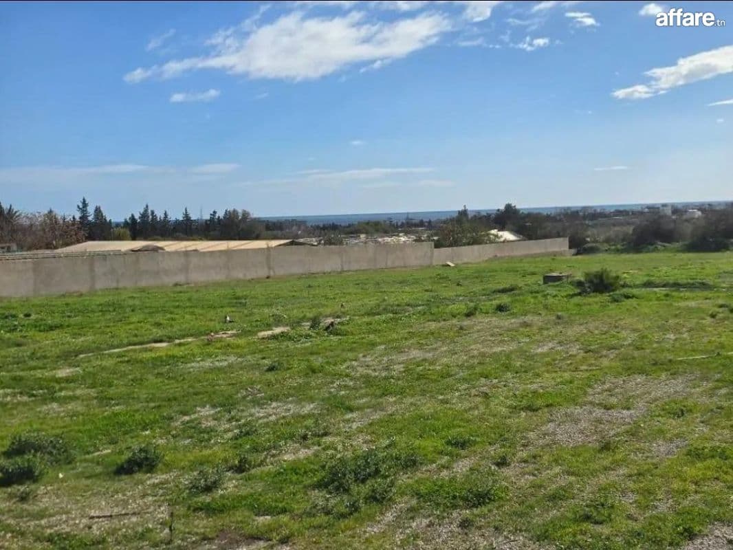 Terrain 2hektar et 700 à gandouz chatt-meriem 