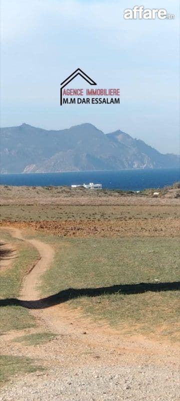 terrain près de la mer 